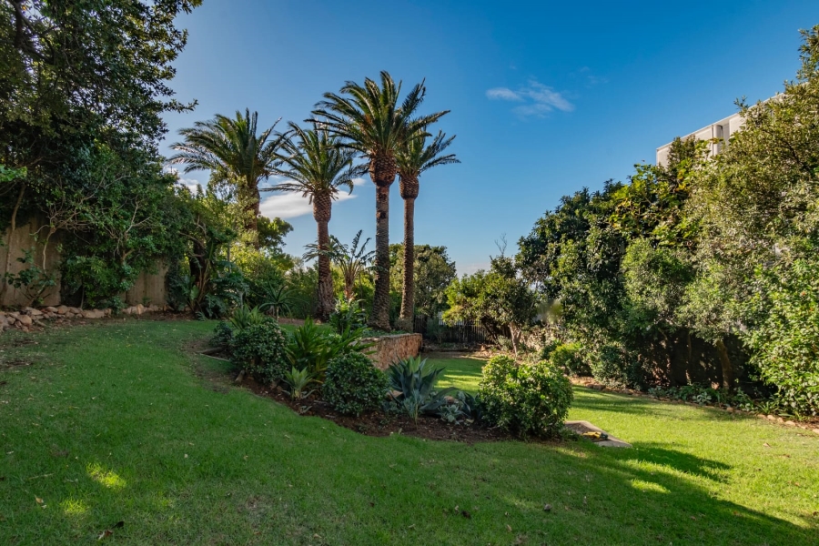 To Let 4 Bedroom Property for Rent in Oranjezicht Western Cape